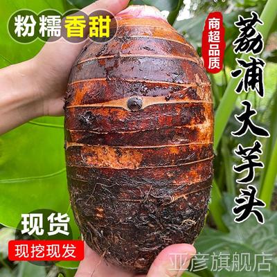 正宗广西荔浦大芋头粉糯香甜新鲜