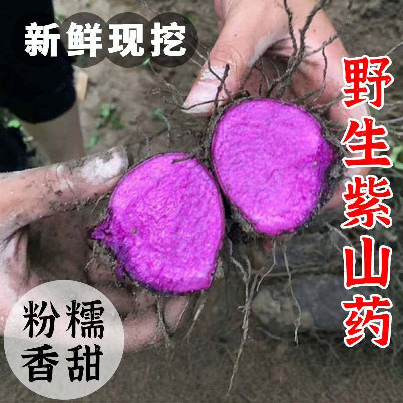 正宗桂林野生紫淮山山药铁棍新鲜现挖蔬菜粉糯香甜脚板薯紫薯毛薯,水产肉类/新鲜蔬果/熟食,新鲜山药,淘宝优惠券,粉丝福利购,淘宝优惠卷