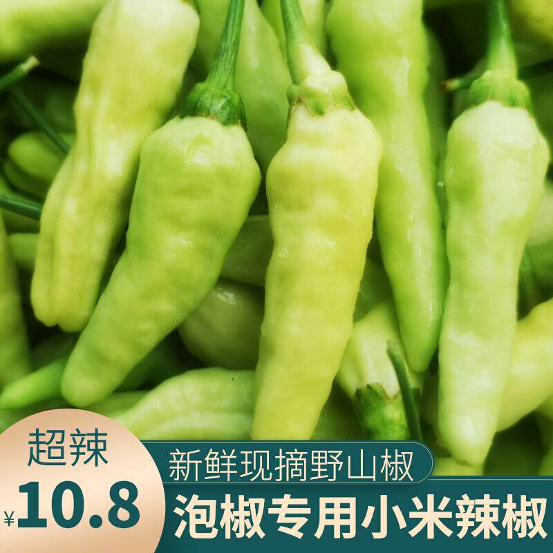 新鲜野山椒白米椒特辣小米辣剁椒泡椒尖椒白色辣椒重庆农村蔬菜05