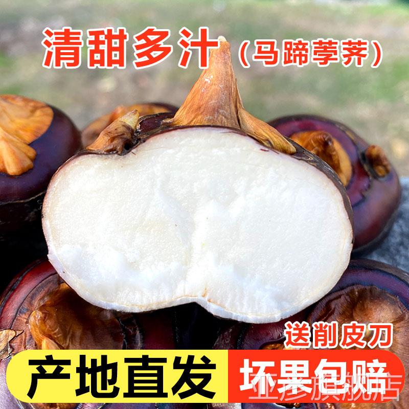 正宗现挖湖北毛李特产新鲜中个红马蹄荸荠地栗地梨农家水果蔬菜5
