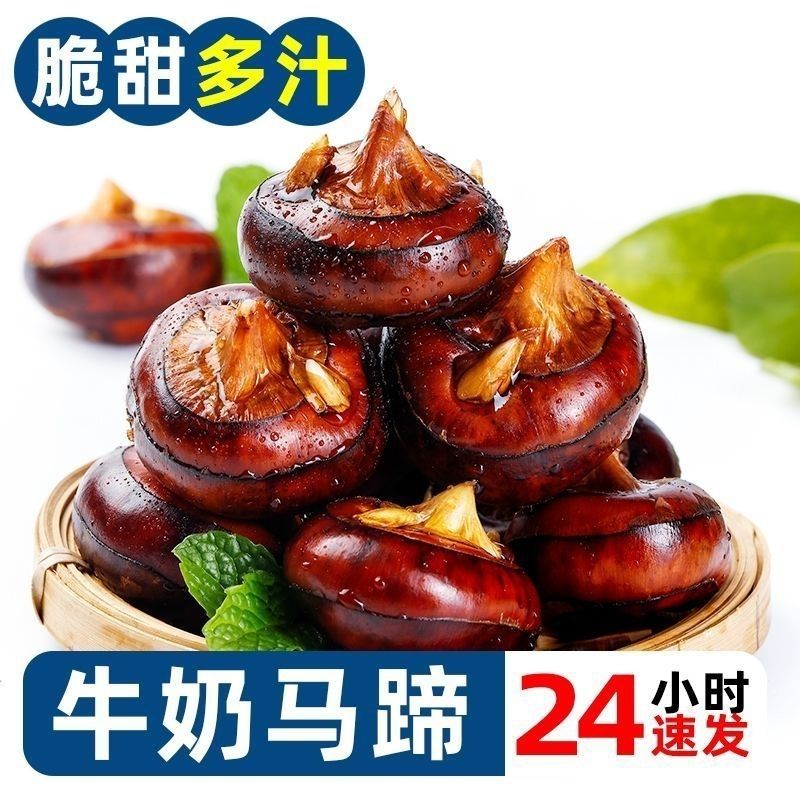 广西牛奶马蹄荸荠新鲜特大现挖