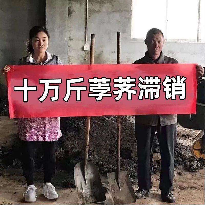 2025新鲜荸荠马蹄带泥小果珍珠马蹄鲜嫩多汁水果蔬菜批发