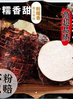 广西荔浦新鲜芋头正宗小芋头旗舰店大槟榔芋紫色香芋艿蔬菜包邮