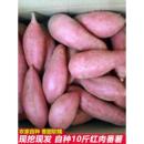 现挖5斤糖心蜜薯番薯红薯新鲜桂林山水农家自种红心地瓜香甜软糯