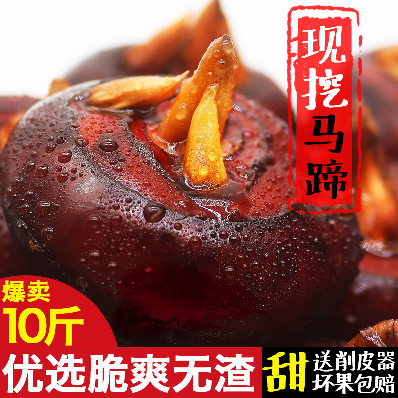 湖北现挖马蹄荸荠大个混装新鲜分级果地栗脆甜多汁农家种3/5/9斤