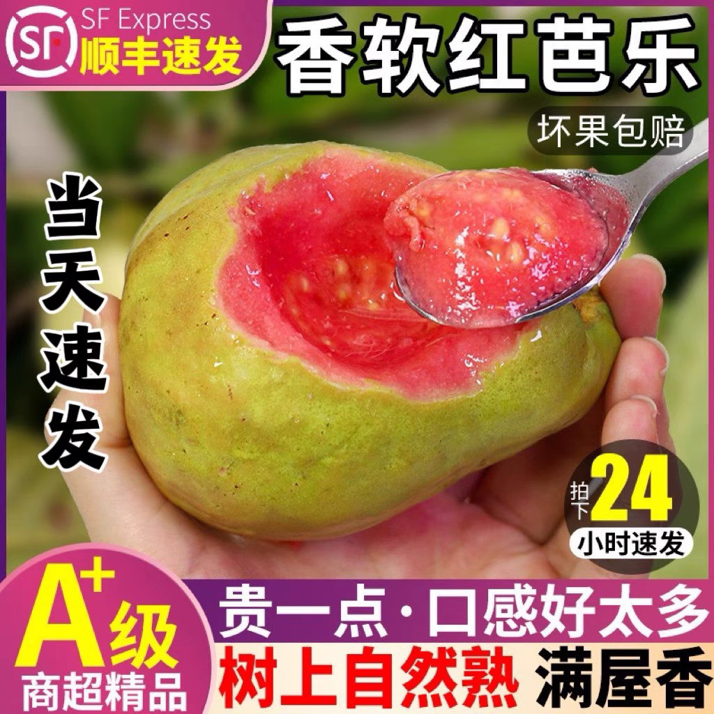 广东红心芭乐果软糯香甜5斤番石榴新鲜当季低糖孕妇水果顺丰包邮