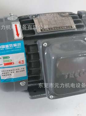 东元电机马达AEVFF3GB18613-2012