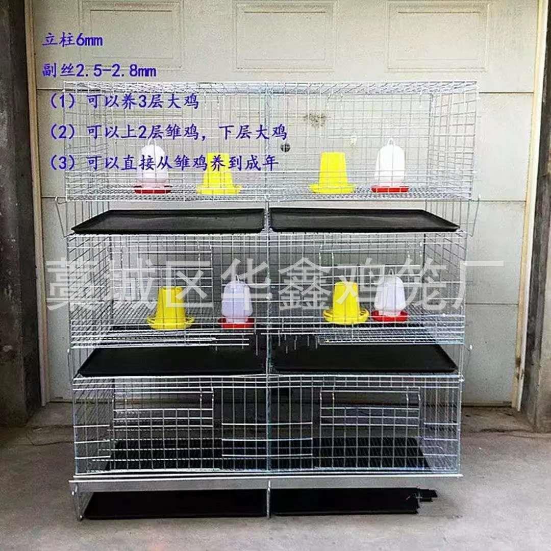 小鸡笼立式育雏笼四层立体小鸡笼一体式鸡笼自动喂养清粪雏笼