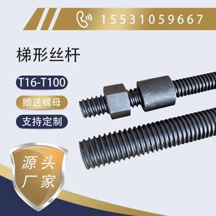 Tr24t36t4050 梯形絲桿t型螺桿絲杠粗牙螺母正牙通絲定制加工45