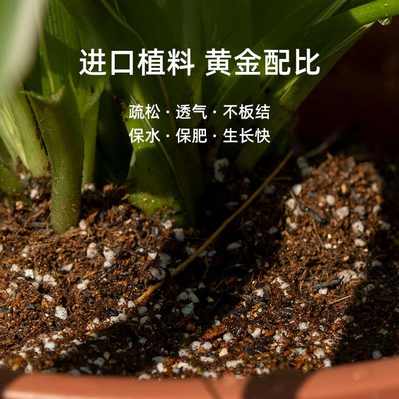 爱丽思轻量黄金配比通用营养土种菜养花多肉花土月季盆栽有机土壤