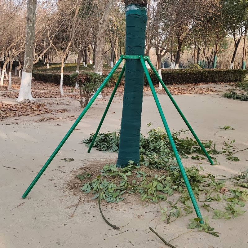 天水绿化钢管树木支撑架大树支撑杆园林防风树苗支架树撑园艺固定