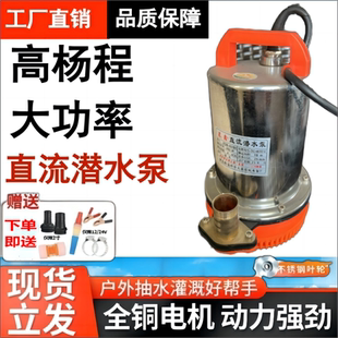 直流潜水泵48V60V72V电瓶车农田灌溉无刷水泵深井泵通用12V水泵24