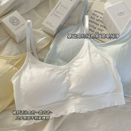 内衣女纯棉无钢圈运动美背2024