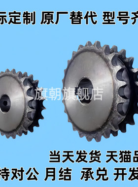 双排链轮 SP40SD18/SP40SD19/SP40SD20/SP40SD21-N/S-25/28/30/35