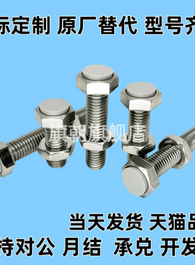 TDB86缓冲限位止动螺栓SSTS6/8/10-20/25/30/35/40/45/50/60/70