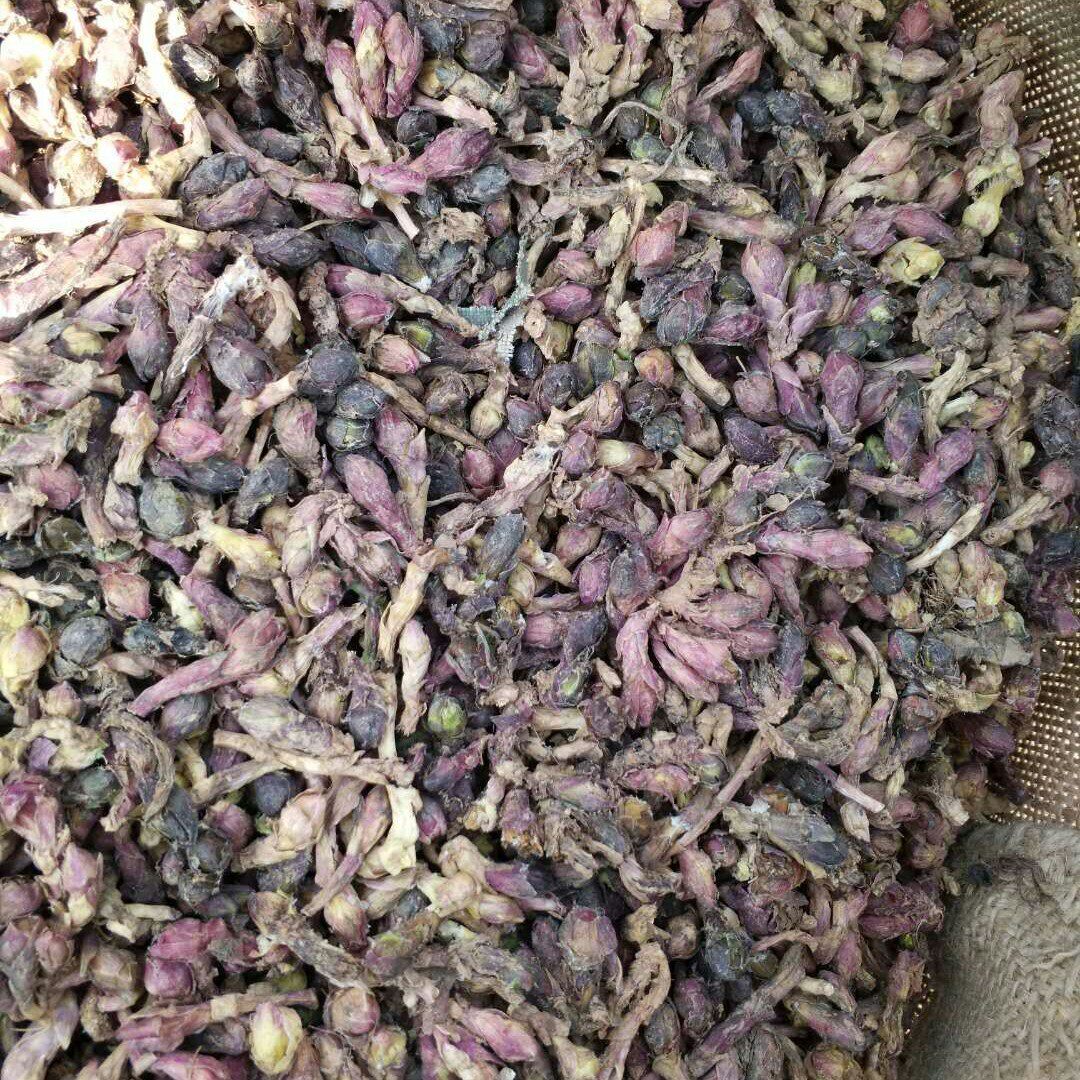 款冬花产地一手货源无残硫无杂质按斤材药食同源手工药用