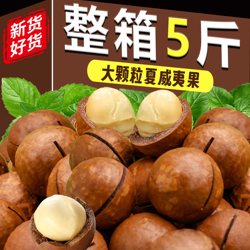 【整箱5斤】丨新貨夏威夷果