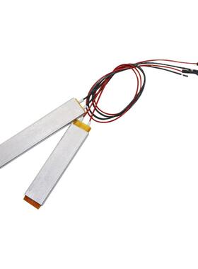 2 Pcs 220V/110V/12V Insulated PTC Ceramic Air Heater Egg Inc