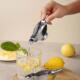 Lemon Squeezer Metal Bird Slice Lime