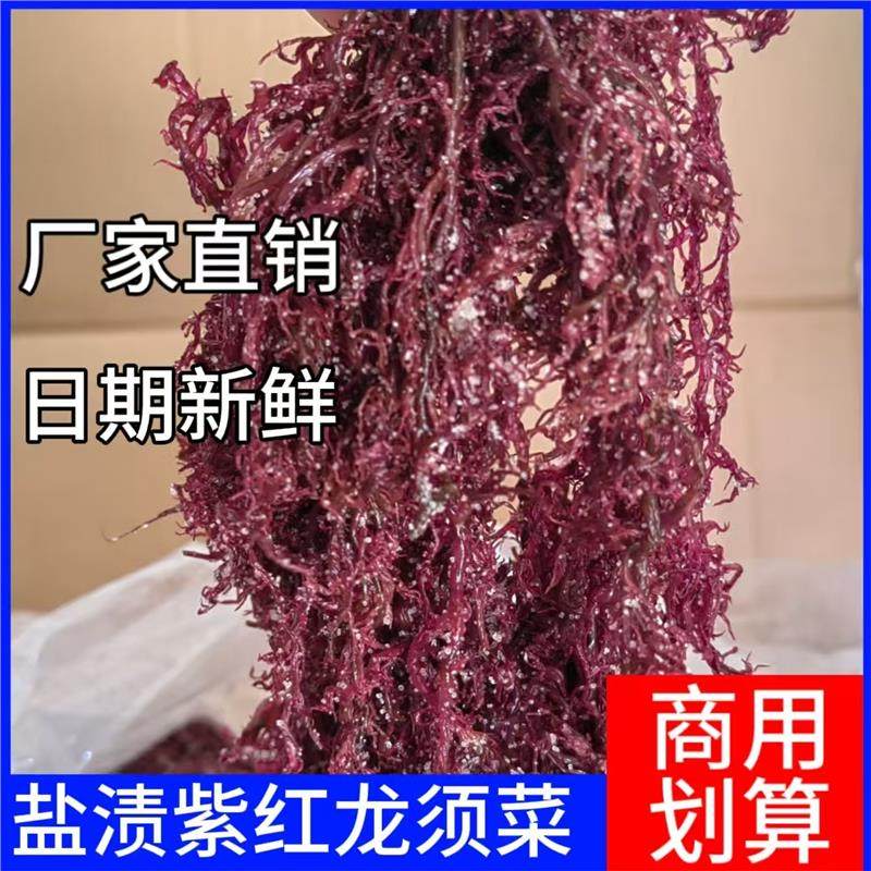 盐渍红藻龙须菜新鲜海菜火锅凉拌菜石花菜食材海草发菜商用家用