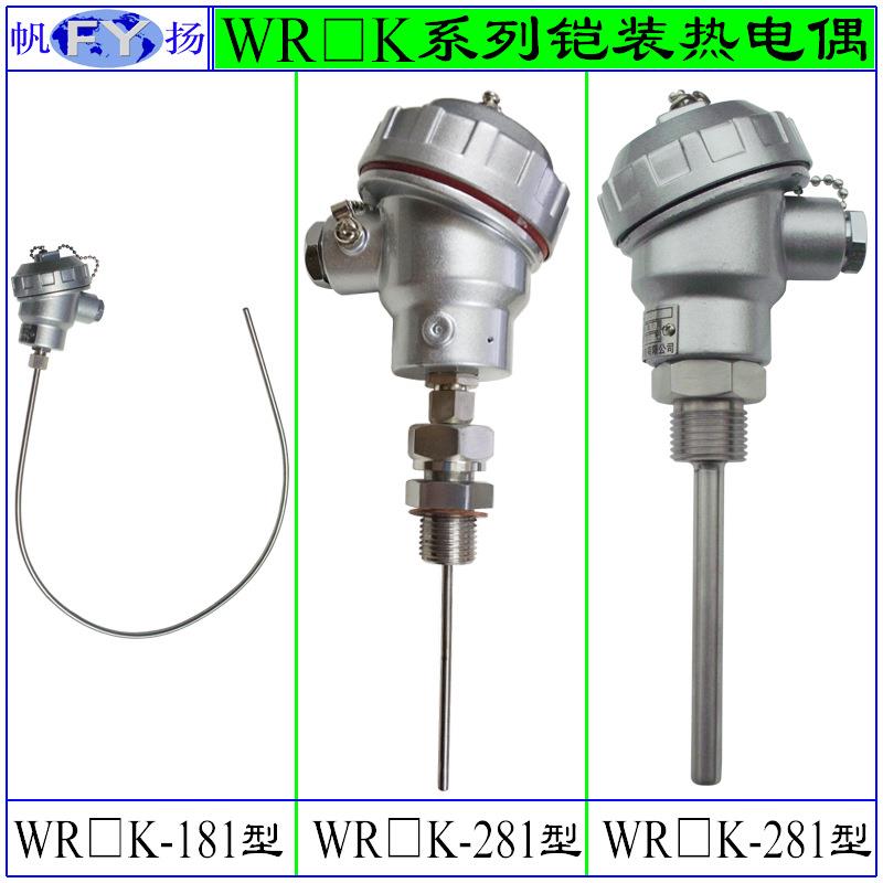 WRNK-181 WREK-281热电偶 铠装热电偶 小型防水接线盒Φ3mm~Φ8mm