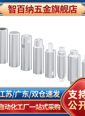 弹簧定位柱 弹顶销 小径弹簧柱塞 MPFL MPFH MPJH 加长型弹簧销