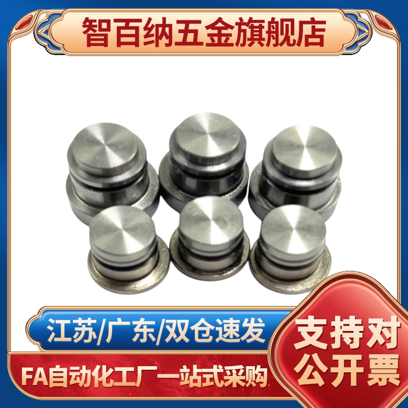 直线导轨定位销偏心销 LLT LLTS 1.4/1.8/3.5/5 ICE11-T ICE12-T5