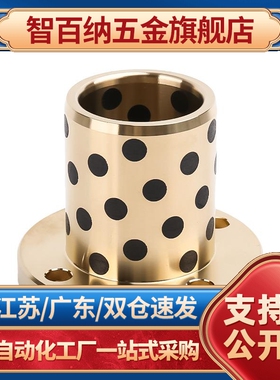 替MPTNP6 8 10 12 13 16-15-20-25-30-35-40铜合金带法兰型无油衬