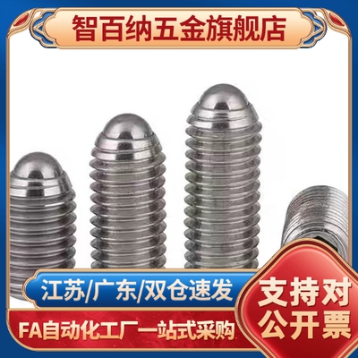 球头柱塞 不锈钢 玻珠螺丝 BSJF /BPW3/4/5/6/8/10/12/16