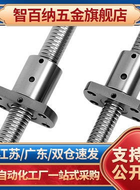 压轧滚珠丝杠LCC07-LCC08-8-2-L100-L200-L300-L400丝杠螺母定制