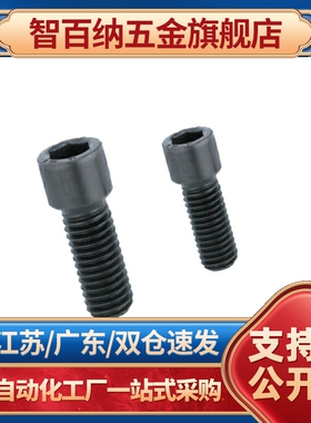 SBB3/4/5/6-8/KBBS10/12/16/20/25小径SBBSS内六角螺丝TBH13