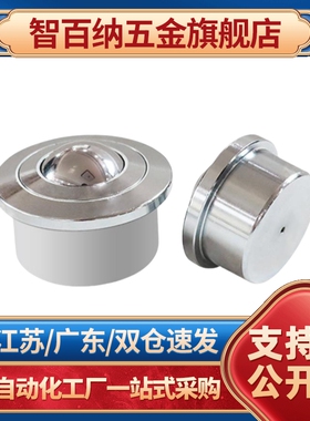 QDF01/02-14/18/22不锈钢压入式柱塞型/柱塞螺纹万向滚珠牛眼万向