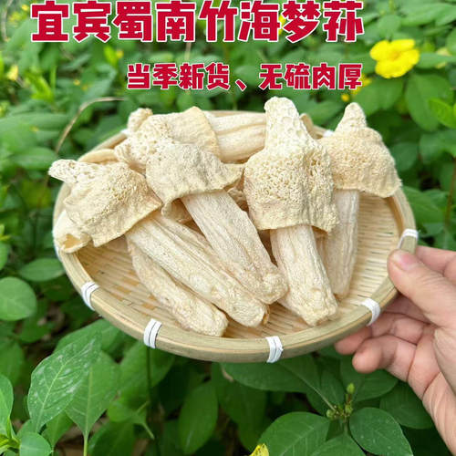 宜宾长裙嫩竹荪无硫无添加