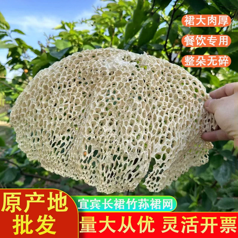 四川宜宾长宁特产长裙竹荪干货竹荪网蜀南竹海竹荪纯网无杆50g
