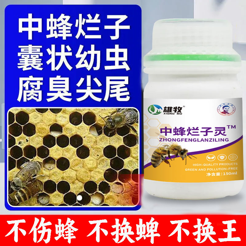 中蜂烂子灵蜜蜂中蜂尖尾养蜂专用蜂箱中囊状幼虫腐臭烂子