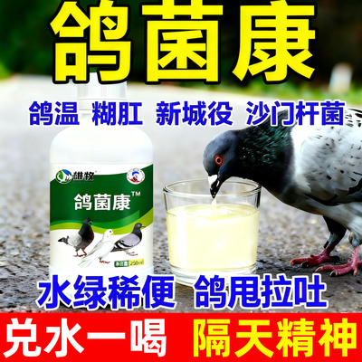 鸽菌康鸽子肉鸽赛鸽沙门氏大肠杆菌甩拉吐水绿稀便糊肛食欲不振