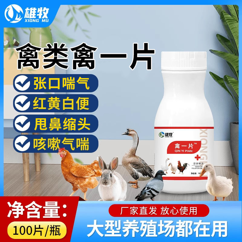 禽一片养鸡专用鸡鸭鹅呼吸道流感鸡闭眼白便绿便甩鼻鸡鸭张口喘气