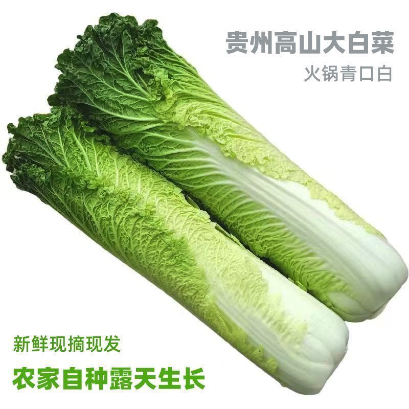 贵州农家现摘青口白菜5斤装