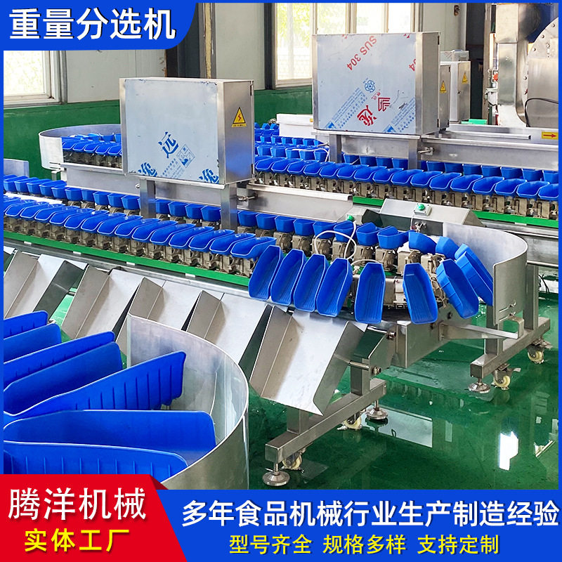 全自动称重分选机小龙虾白条鸡螃蟹重量分拣机火龙果土豆分选设备