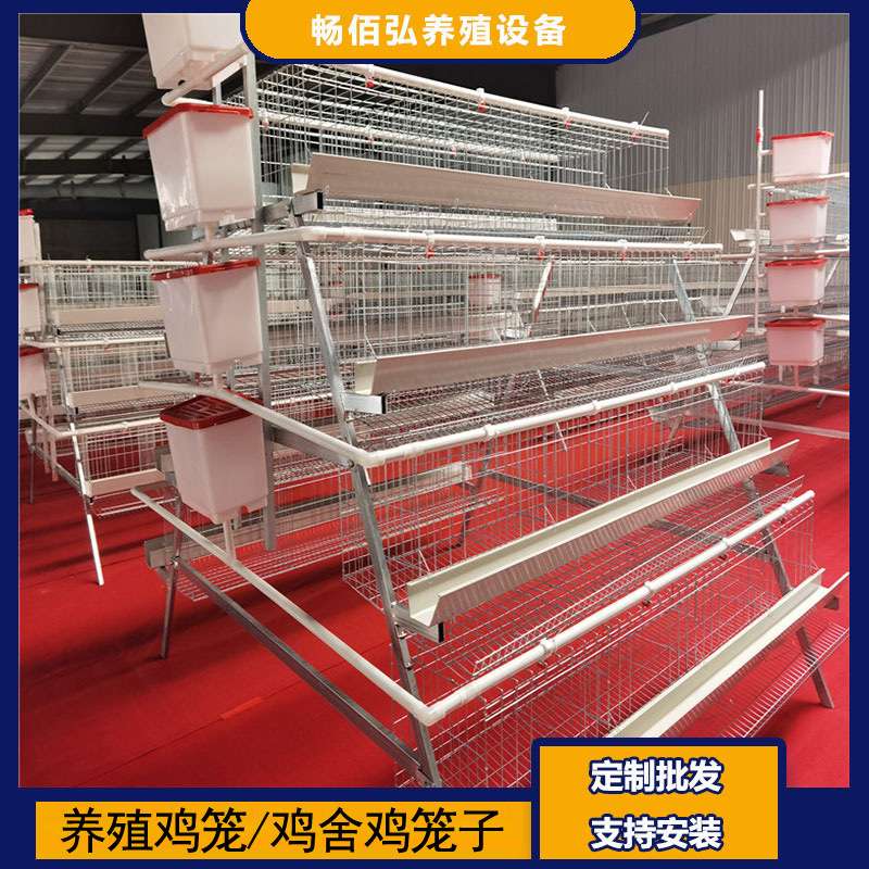 阶梯蛋鸡笼四层四门养殖厂工厂A型蛋鸡笼鸡窝热镀锌可供外贸