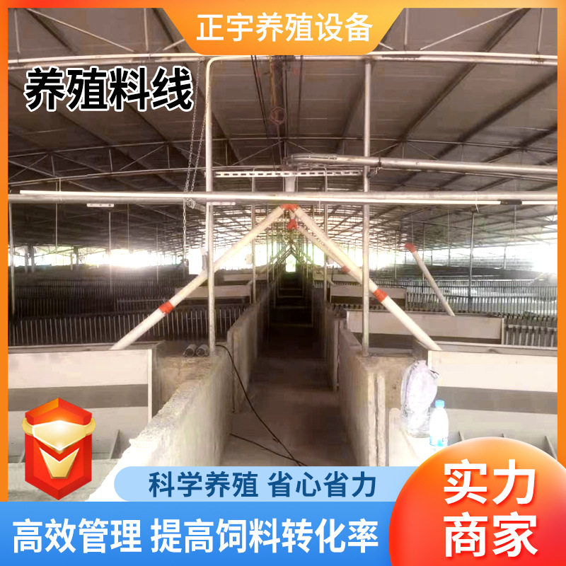 塞盘喂料养猪场自动料线牲畜饲喂设备全套料塔料线养殖自动化料线