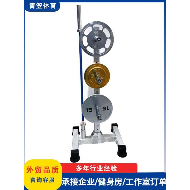 电镀杠铃片存片架杠铃杆储存架奥片存放架大孔片放置健身房置物架