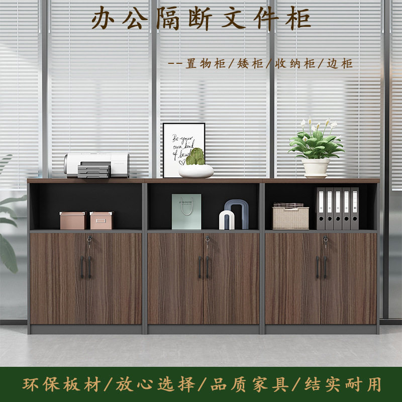 办公家具文件收纳置物柜落地矮柜家用储物柜抽屉现代简约文件柜