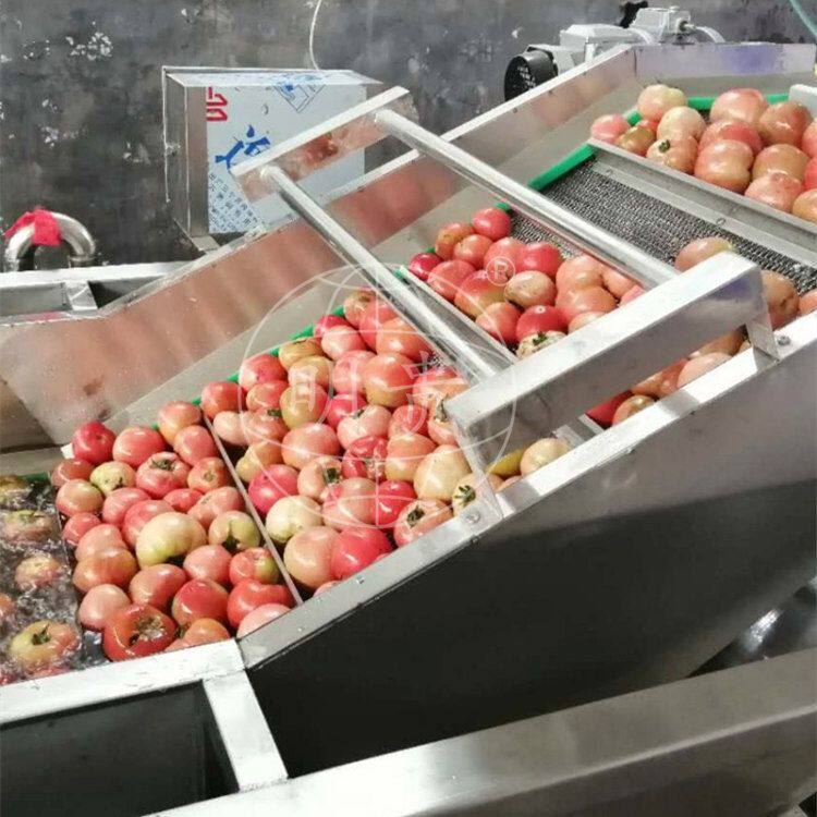 西红柿气泡清洗机 鼓泡式番茄清洗机 果蔬自动涡流洗菜机器