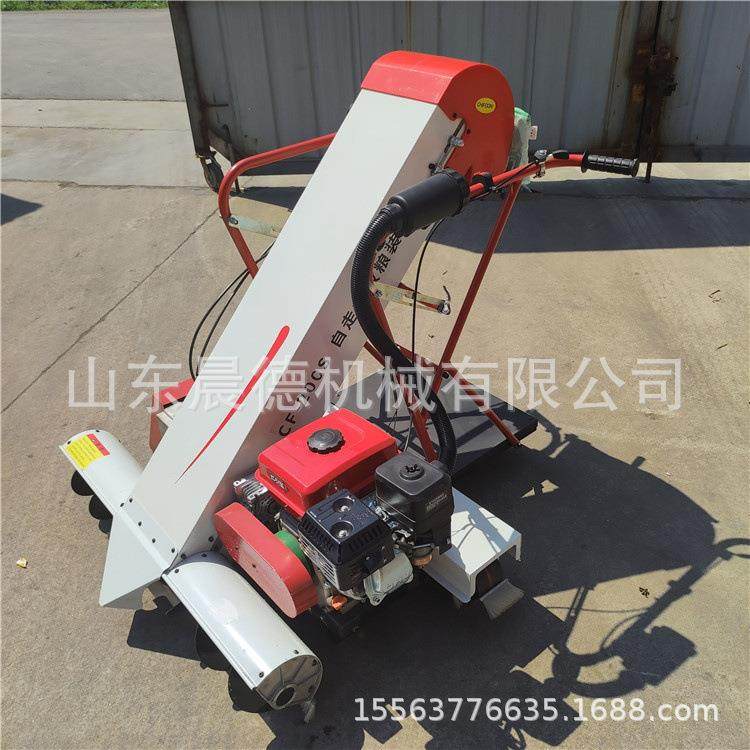 手推粮食装袋机 自走式汽油收谷灌袋小麦水稻双口收谷机,农机/农具/农膜,收割机械,淘宝优惠券,粉丝福利购,淘宝优惠卷