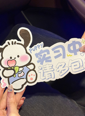 2024新款网红帕恰狗女生司机新手汽车贴实习反光贴创意无痕磁吸贴