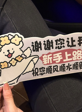 2025新款实习车贴汽车贴纸磁吸可爱新手上路女司机反光贴划痕遮挡