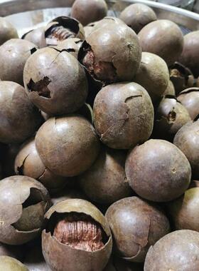 散果一斤破皮汉破壳烘烤干果装亏本贱XXR卖正品野罗生小果500克