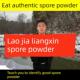长白山灵芝孢子粉芝林芝粉DYE88元 25灵0g粉产自自销