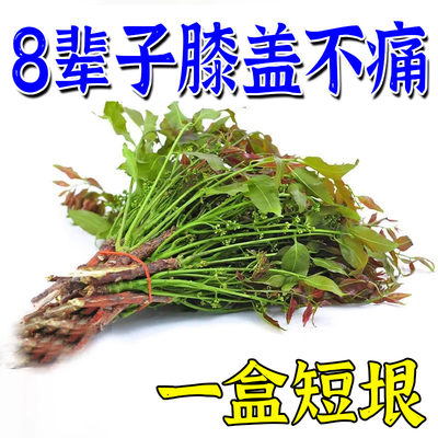 【隔天好】半月板损伤膝盖痛特效漆盖积液关节活动受限专用膏药贴